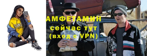 ECSTASY Алзамай