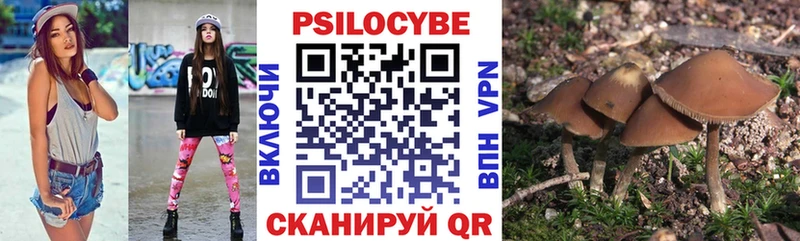 Галлюциногенные грибы Magic Shrooms  hydra ТОР  Чишмы 
